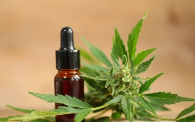 Cannabidiol (CBD) Gene Expression Panel Debuts at SCC Annual Meeting