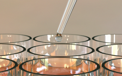 In Vitro & Ex Vivo Tissue Models for Skincare Testing