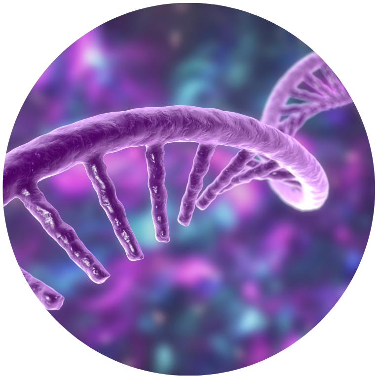 RNA Molecular on purple background